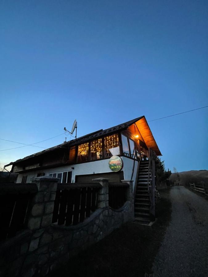 Guesthouse Karpaty Yasinya Extérieur photo