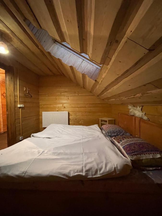 Guesthouse Karpaty Yasinya Extérieur photo