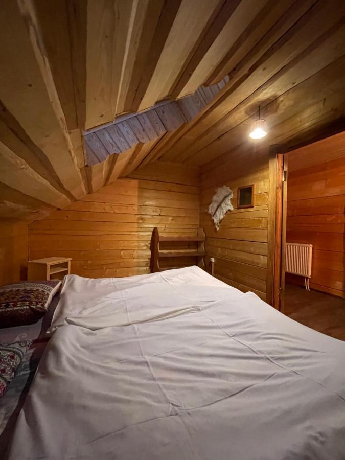 Guesthouse Karpaty Yasinya Extérieur photo