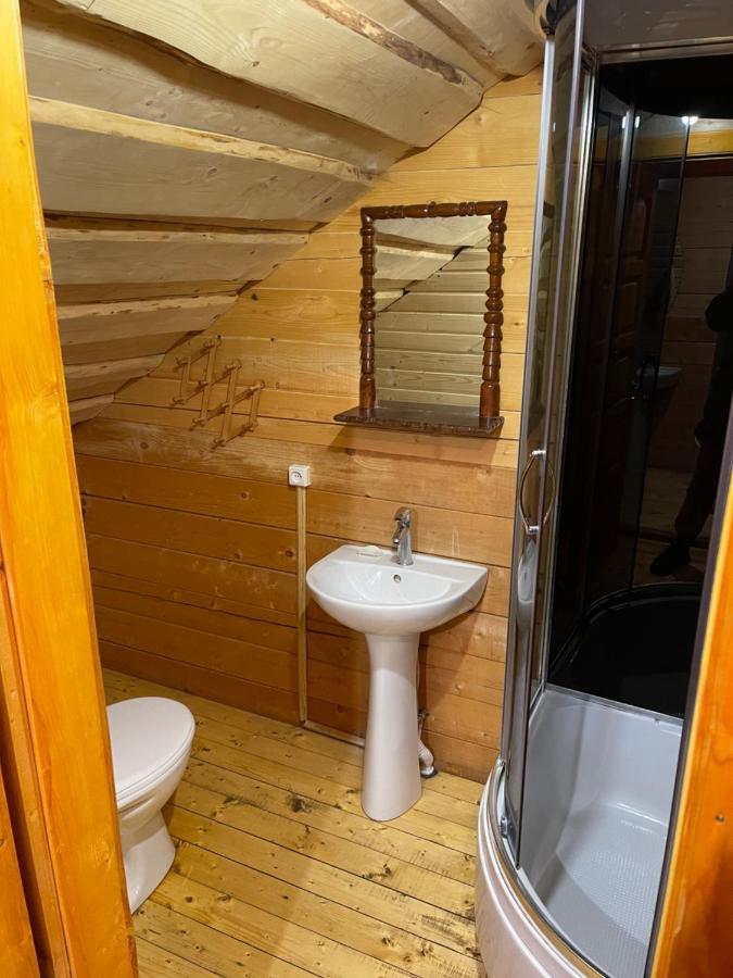 Guesthouse Karpaty Yasinya Extérieur photo